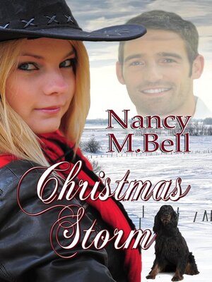 cover image of Christmas Storm